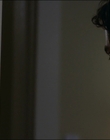 2015_-_The_Curse_Of_Downers_Grove_mp41216.jpg
