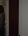 2015_-_The_Curse_Of_Downers_Grove_mp41278.jpg