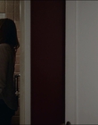 2015_-_The_Curse_Of_Downers_Grove_mp41283.jpg