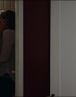 Filename=2015_-_The_Curse_Of_Downers_Grove_mp41299.jpg
Filesize=515KiB
Dimensions=1920x808
Date added=Feb 22, 2024 2015_-_The_Curse_Of_Downers_Grove_mp41299.jpg