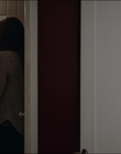 Filename=2015_-_The_Curse_Of_Downers_Grove_mp41301.jpg
Filesize=529KiB
Dimensions=1920x808
Date added=Feb 22, 2024 2015_-_The_Curse_Of_Downers_Grove_mp41301.jpg