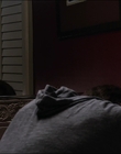 Filename=2015_-_The_Curse_Of_Downers_Grove_mp41348.jpg
Filesize=558KiB
Dimensions=1920x808
Date added=Feb 22, 2024 2015_-_The_Curse_Of_Downers_Grove_mp41348.jpg