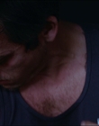 2015_-_The_Curse_Of_Downers_Grove_mp42130.jpg