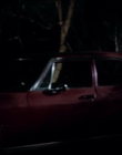 2015_-_The_Curse_Of_Downers_Grove_mp42600.jpg