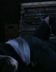 Filename=2015_-_The_Curse_Of_Downers_Grove_mp43520.jpg
Filesize=600KiB
Dimensions=1920x808
Date added=Feb 22, 2024 2015_-_The_Curse_Of_Downers_Grove_mp43520.jpg