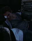 Filename=2015_-_The_Curse_Of_Downers_Grove_mp43521.jpg
Filesize=641KiB
Dimensions=1920x808
Date added=Feb 22, 2024 2015_-_The_Curse_Of_Downers_Grove_mp43521.jpg
