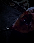 Filename=2015_-_The_Curse_Of_Downers_Grove_mp44429.jpg
Filesize=290KiB
Dimensions=1920x808
Date added=Feb 22, 2024 2015_-_The_Curse_Of_Downers_Grove_mp44429.jpg