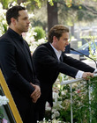 Filename=Notorious_281329.jpg
Filesize=650KiB
Dimensions=2048x1365
Date added=Jan 16, 2024 Notorious_281329.jpg