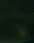 Filename=FTWD_S04E02_mkv2256.jpg
Filesize=262KiB
Dimensions=1920x1080
Date added=Jan 11, 2024 FTWD_S04E02_mkv2256.jpg