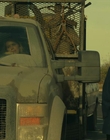 Filename=FTWD_S04E06_mkv2117.jpg
Filesize=868KiB
Dimensions=1920x1080
Date added=Jan 11, 2024 FTWD_S04E06_mkv2117.jpg