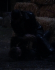 Filename=What_Just_Happened_S01E01_mkv0044.jpg
Filesize=521KiB
Dimensions=1920x1080
Date added=Dec 30, 2023 What_Just_Happened_S01E01_mkv0044.jpg