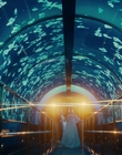 Filename=Doctor_Odyssey_S01E06_mkv0068.jpg
Filesize=1332KiB
Dimensions=1920x1080
Date added=Nov 11, 2024 Doctor_Odyssey_S01E06_mkv0068.jpg