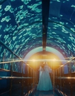 Filename=Doctor_Odyssey_S01E06_mkv0069.jpg
Filesize=1254KiB
Dimensions=1920x1080
Date added=Nov 11, 2024 Doctor_Odyssey_S01E06_mkv0069.jpg