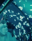 Filename=Doctor_Odyssey_S01E06_mkv0078.jpg
Filesize=1100KiB
Dimensions=1920x1080
Date added=Nov 11, 2024 Doctor_Odyssey_S01E06_mkv0078.jpg