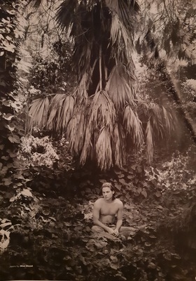 Scans_28529.jpg