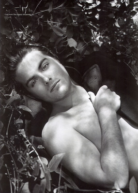flaunt_28229.jpg