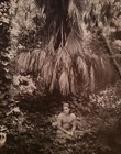 Scans_28529.jpg